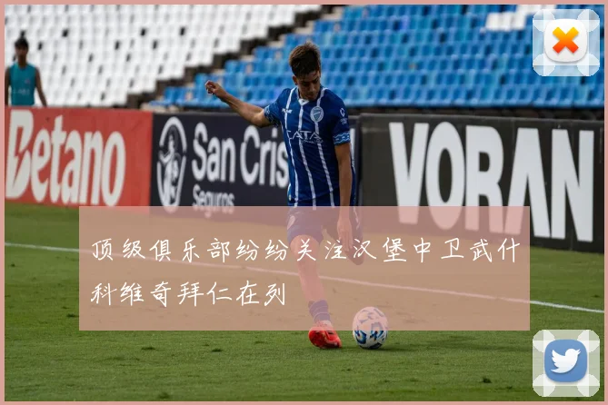 顶级俱乐部纷纷关注汉堡中卫武什科维奇拜仁在列