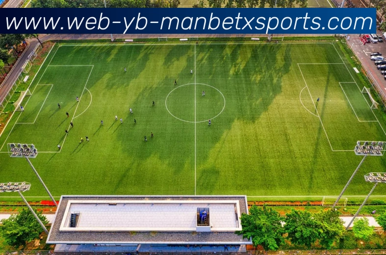 万博体育APP 体育赛事宣传图